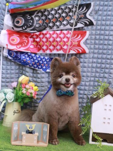 20230510クッキーくん